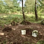 Einzug ins Chaos 14 Aufräumen im Außengelände