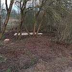 Fortschritte und Challenges 8 b08_pflanzungen_03