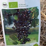 Fortschritte und Challenges 11 b08_pflanzungen_05