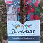 Fortschritte und Challenges 12 b08_pflanzungen_06